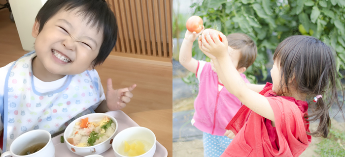 給食・食育について